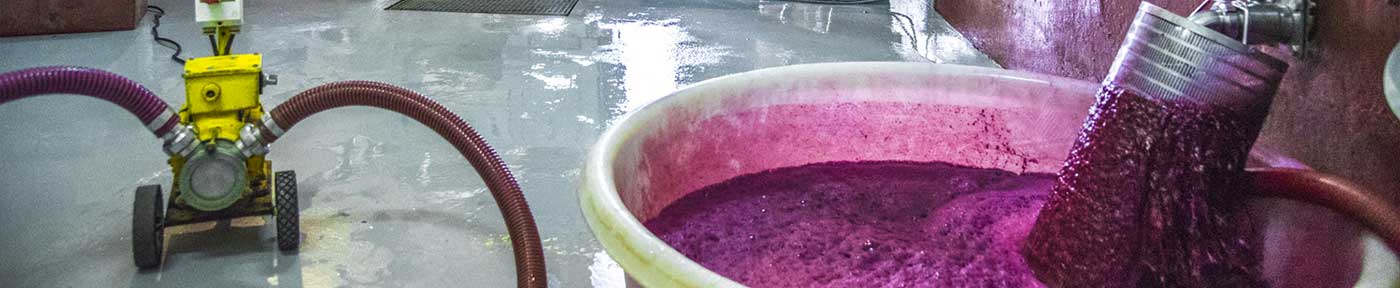 page vinification
