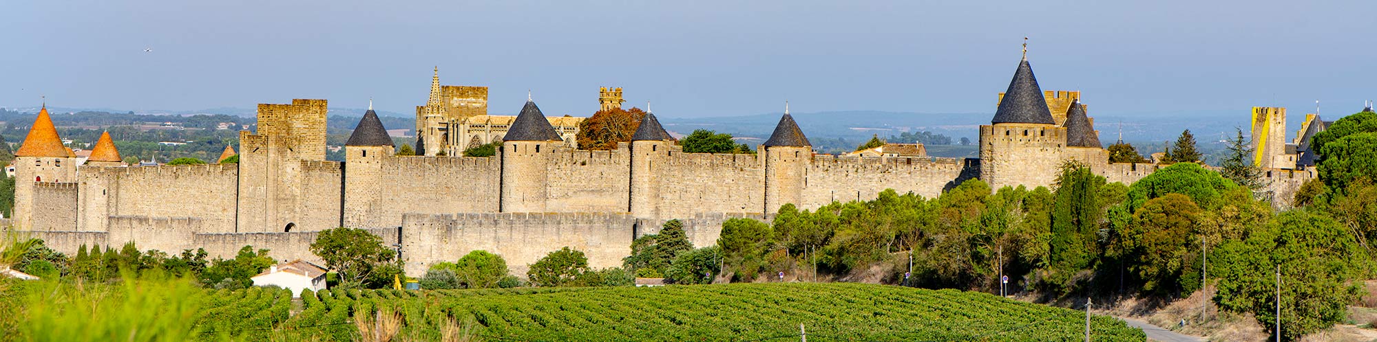 cite de carcassonne 1