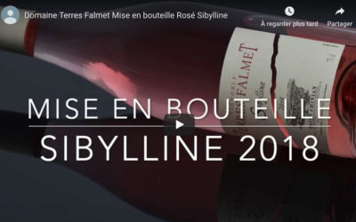 Mise en bouteille du rosé 2018 Sibylline