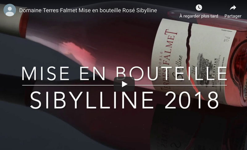 Mise en bouteille du rosé 2018 Sibylline