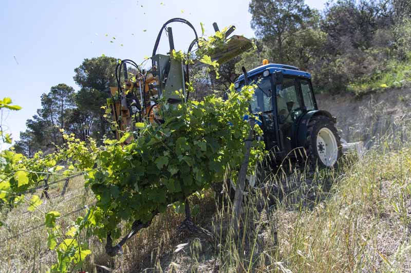 tracteur rognage vigne languedoc