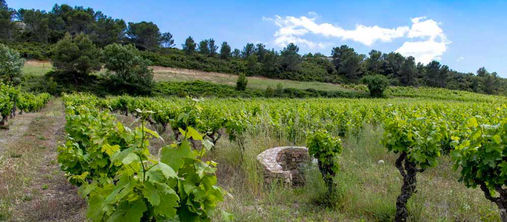 puits ressource en eau vignoble languedoc