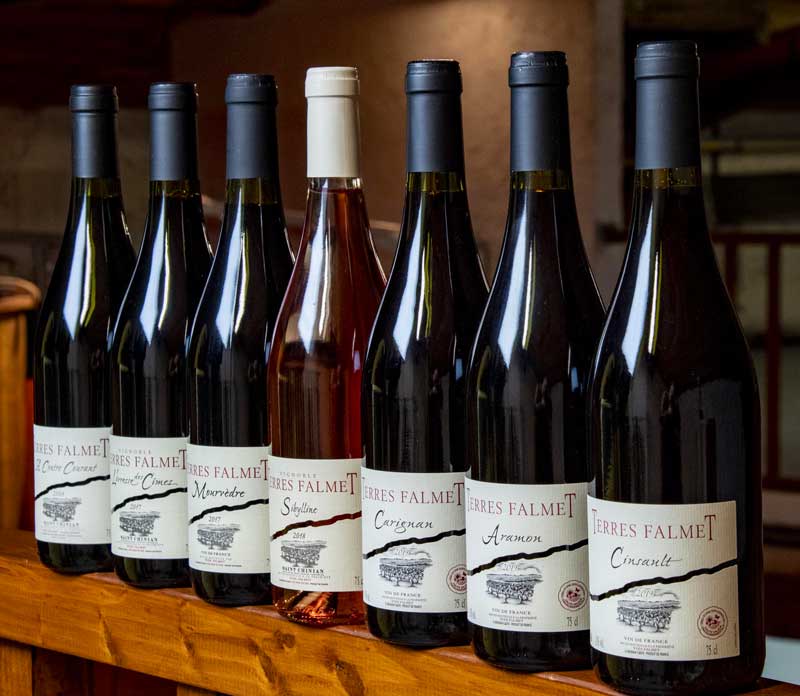 vins-languedoc-saint-chinian-terres-falmet vins saint chinian languedoc