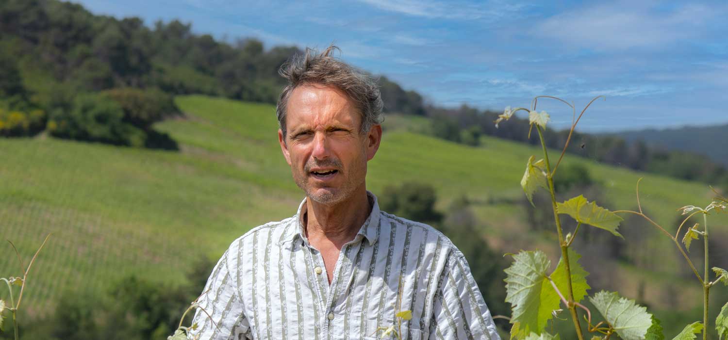 yves falmet vigneron saint chinian