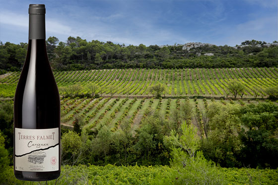 CARIGNAN-2021-hve CARIGNAN 2021 hve