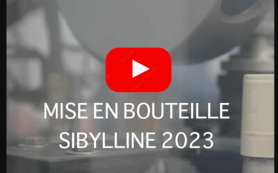 Mise en bouteille millésime 2023