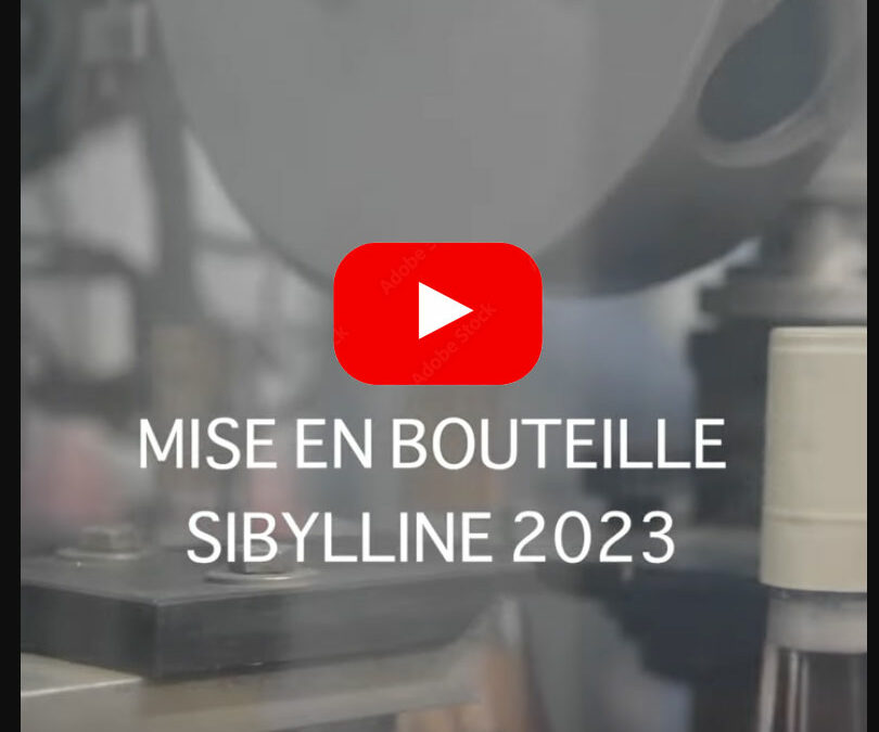 Mise en bouteille millésime 2023