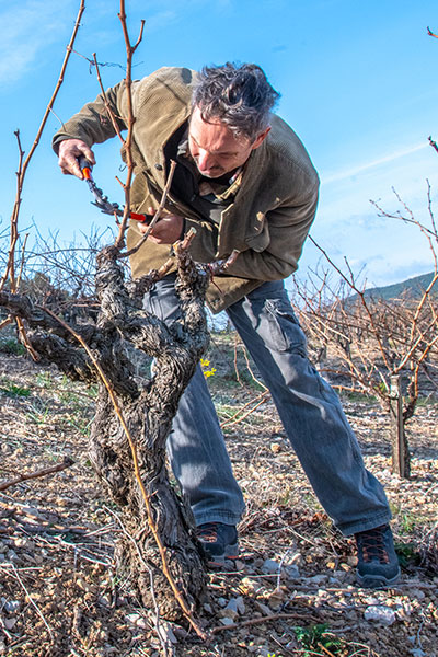 falmet yves vigneron saint chinian languedoc