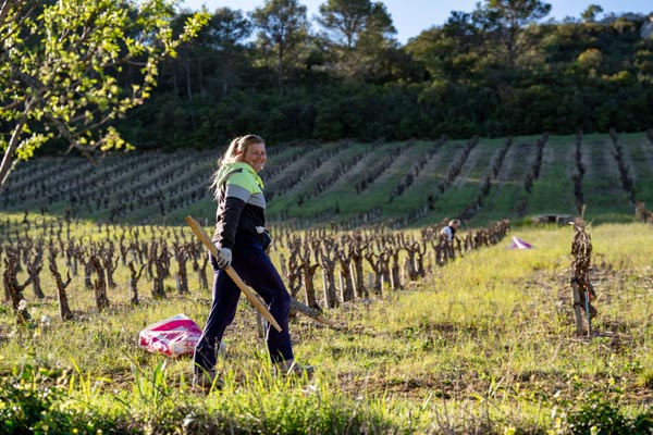 DSC02139falmet greffage