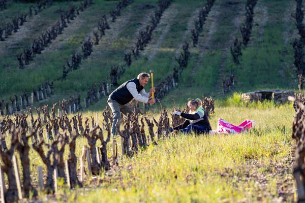 DSC02150falmet greffage