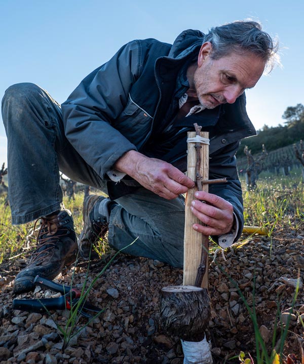 P1312840falmet greffage