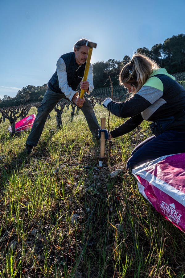 P1312983falmet greffage